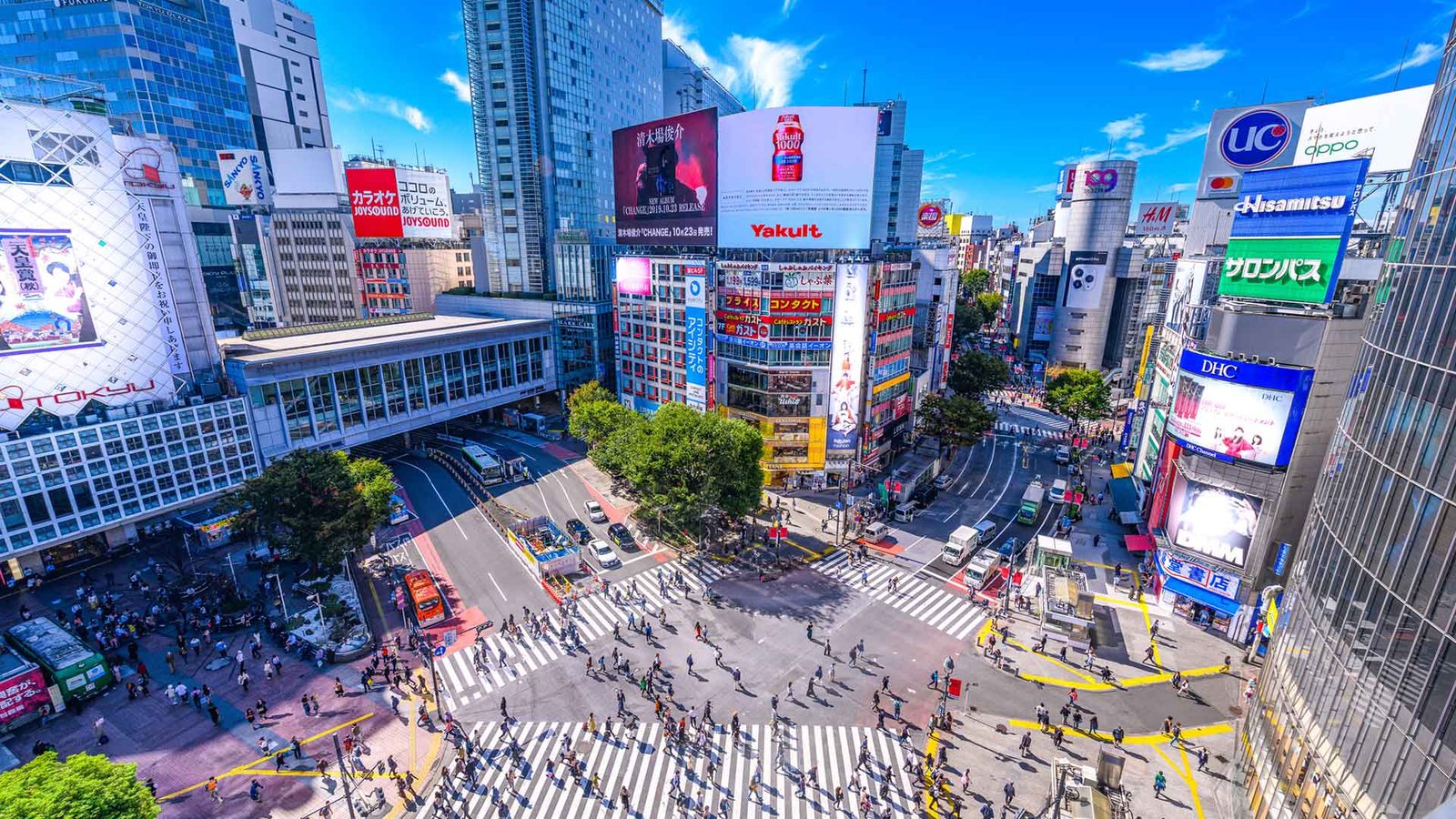 Sunday's Japan work